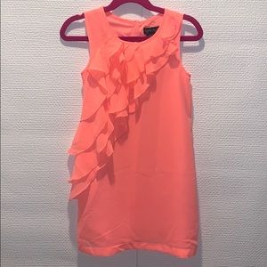 Girls Spring Dress 5T
